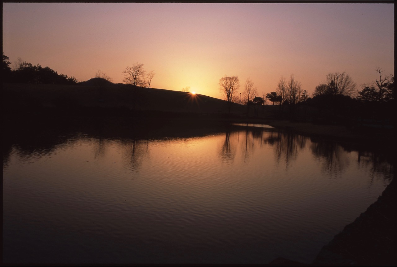 DarkSunset