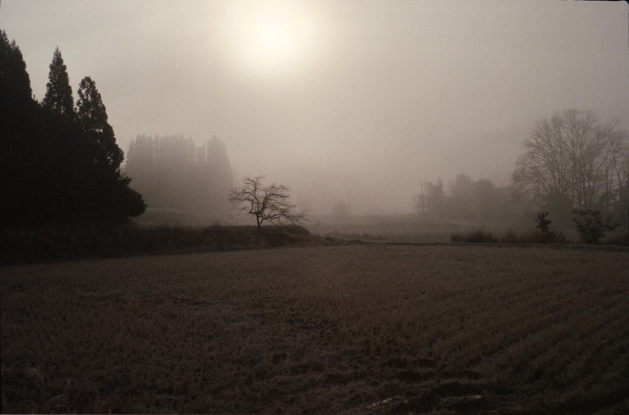 MorningMist