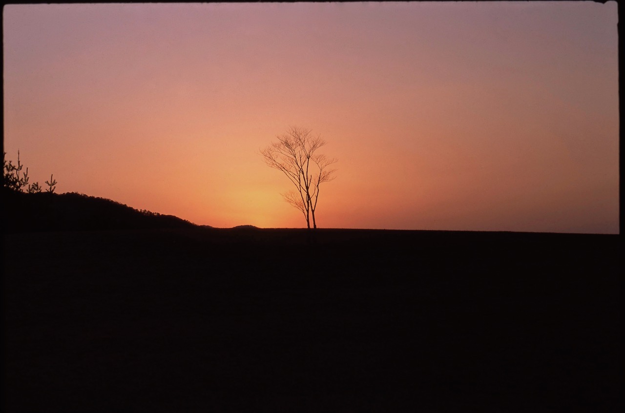 PeacefulSunset