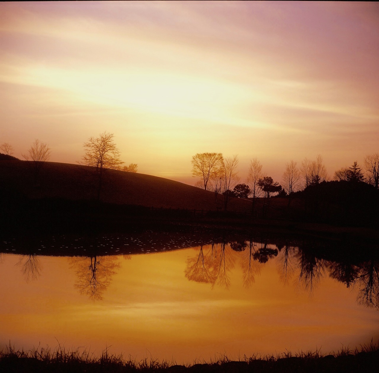 SunsetOnPond
